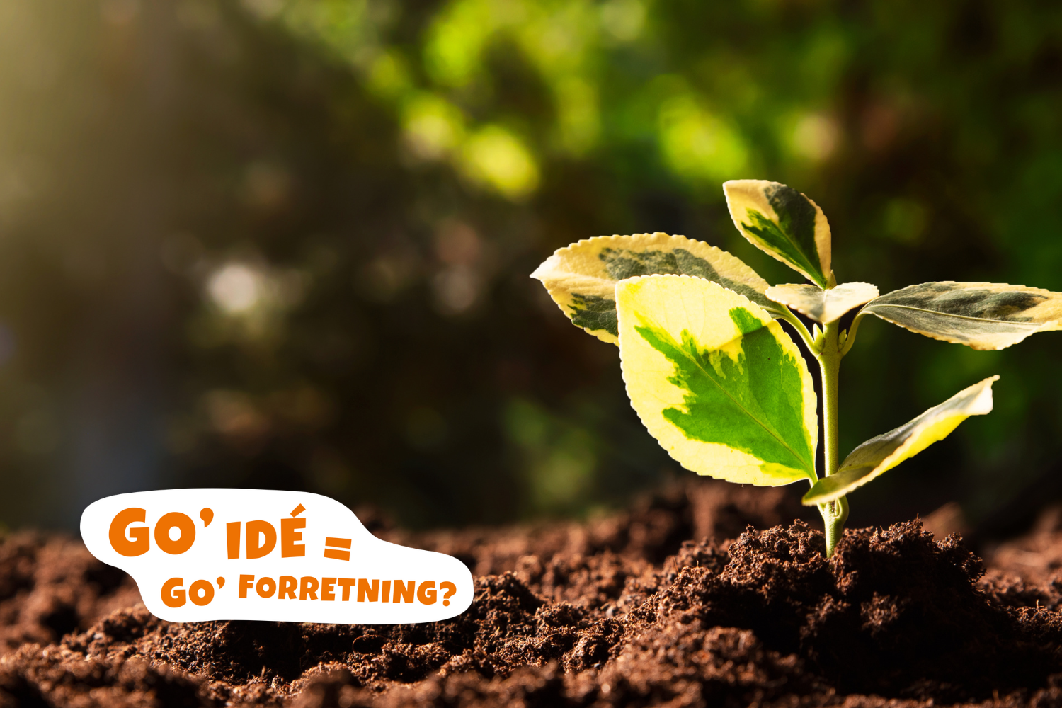 Skab en grønnere forretning!